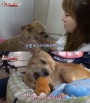 `동물농장` 스토킹 犬 낑꽁이의 새 주인 찾기.. 자꾸 저만 따라와요