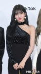 LG 주말 두산전, ‘트와이스’ 모모-‘코리안 좀비’ 정찬성 시구 