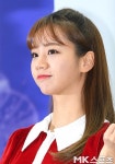 혜리, 동생 쇼핑몰 아마레또 홍보 사과에도 논란ing “불편함 생각 못해”(종합)
