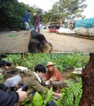 ‘고립낙원’ 타쿠야, 오키나와 이리오모테 섬의 자급자족 여행기 [MK★TV컷]