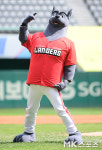 랜디 'SSG 창단 첫 개막전 시구했어요' [MK포토]