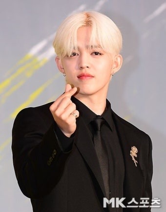 세븐틴 에스쿱스, 어깨 부상으로 활동 불참 “회복에 전념”(공식입장)