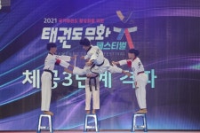 태권도 문화 페스티벌, 4개 부문 우승팀 배출