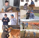 ‘세컨 하우스’ 주상욱·조재윤, 송아지와 산책→옷 입히기 도전 [MK★TV컷]