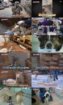 ‘동물농장’ 고소했던 카페 사장, 야생동물 확대로 구속송치 [MK★TV뷰]