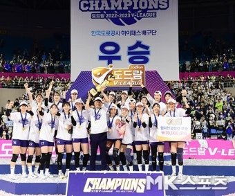 흥국생명-도로공사 챔프전 5차전 역대 최고 3.4% 시청률 기록