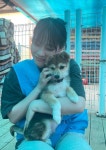 소녀주의보 슬비 “강아지=인형이라는 생각, 사라지고 바뀌었으면”[MK★사소한 인터뷰]