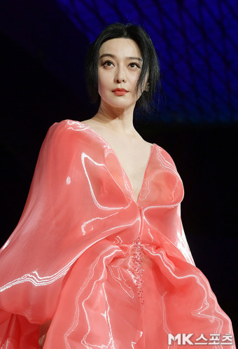 ‘대륙의 절세미녀’ 판빙빙, 부산 레드카펫 올킬한 아우라 [현장]