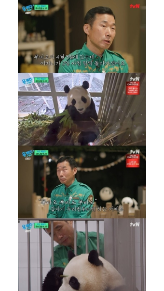 ‘푸바오 할부지’ 강철원 사육사, 모친상에도 中  동행 “의젓한 모습...감동이었다” (유퀴즈) [MKTV뷰]