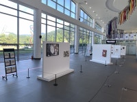 국립태권도박물관, 청년 작가 초대전 Vital Rhythms 개최