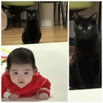 박수홍♥김다예 딸, 110일 만에 완성형 미모…고양이도 깜짝!