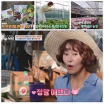 황석정, 1000평 농장도 혼자 관리…“손해 봐도 행복했다”