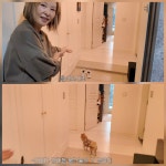 이미숙, 제작진에 반말했다가 왜 혼났나… 19년 선배 강부자 일침