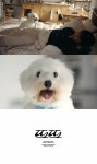 임영웅, ‘IM HERO 10’ 타이틀곡 베일 벗다...‘또또’ 9월 8일 공개