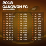 강원FC, 2018시즌 등번호 발표 정조국 9번-이근호 11번