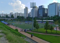 제5회 강남구청장배 풋살대회 19일 개최...역대 최대 규모