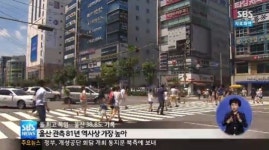 울산 40도 대구에 이어 71년 만에 기록 깨 여기가 사막인가?