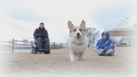 강원래 반려견 림프암 말기 똘똘이와의 이별 슬퍼할 시간 없다