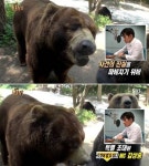 동물농장 김상중 곰 사파리 폭행사건 미스터리 진지한 내레이션 눈길