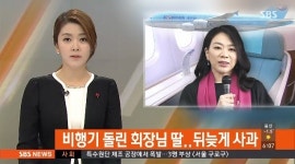 대한항공 후진 논란 대한항공 사과문... 조현아 대신 회사가 사과