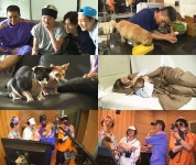 동물농장 위너X오죠레베, ’팔각정’ 결성 특별 신곡도 공개