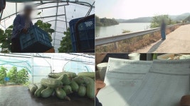 “17년만에 탈출”… 궁금한 이야기 Y, 오이농장 노예 추적