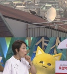 TV 동물농장, 18년 역사에 길이남을 고양이 구출 작전 대공개