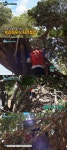 ‘정글의 법칙’ 병만족장 표 트리하우스 공개…예술의 경지