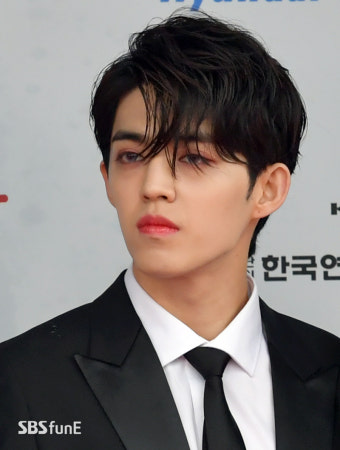 세븐틴 리더 에스쿱스 활동 중단 