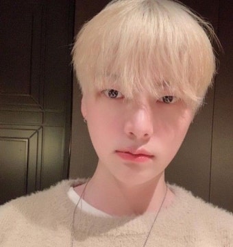 안재현의 금발 변신…반려묘 안주 근황도 공개