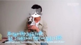 촬영 전 고양이 굶겨...수의대생 유튜버 갑수목장 논란