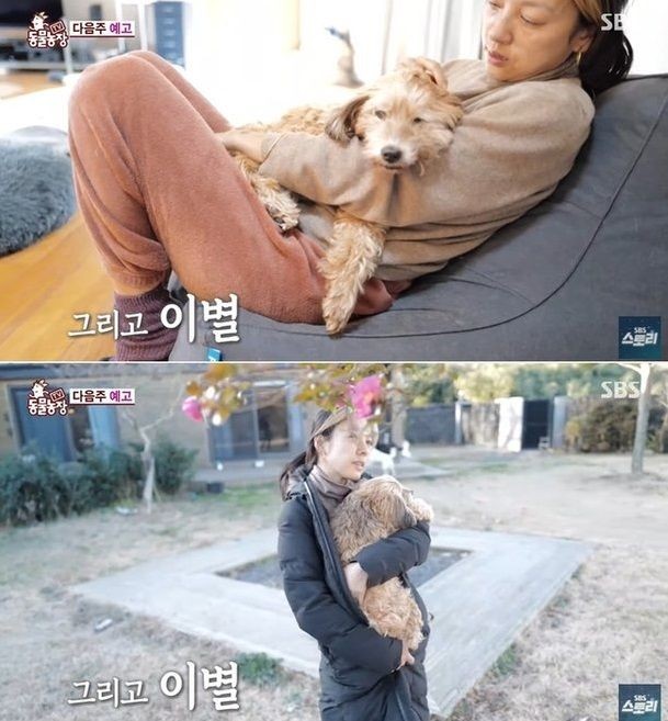 가수 이효리, 유퀴즈 온 더 블럭 특집서 반려견 이별 고백...애틋한 마음에 시청자들 눈물과 공감