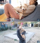 동물농장 이효리, 반려견 순심이와의 이별 눈물