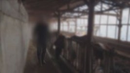 노예 30년, 강원도 목장에 묶인 남자의 사연은…궁금한 이야기 Y 추적