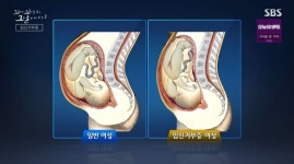 [꼬꼬무 찐리뷰] 냉장고서 발견된 아기 시신들…범인은 친엄마였다
