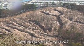 [꼬꼬무 찐리뷰] 낮에는 회사, 밤에는 방화…17년간 축구장 114개 태운 불다람쥐