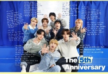 스트레이 키즈, 데뷔 5주년 맞이...우리를 비춰준 반짝이는 별=스테이