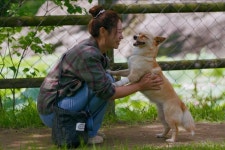 핸섬가이즈→문경→베테랑2, 배우보다 바쁜 강아지 복순