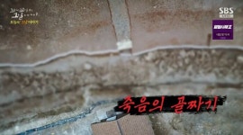 [꼬꼬무 찐리뷰]발굴된 유해만 1441구, 사람 뼈가 산처럼 쌓인 골령골…그들은 아직 잠들지 못했다