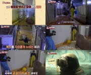 철문 부수고 탈출한 바다코끼리 바랴의 일탈…TV동물농장, 동시간대 1위 최고 6%