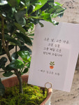 제일 고운 당신께…김고은, 어버이날 맞아 소속사 전 직원 가정에 화분·과일 선물
