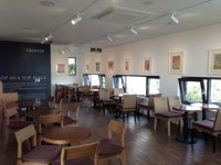 음식점, 화장품, 갤러리 등을 결합한 카페 같지 않은 카페 인기