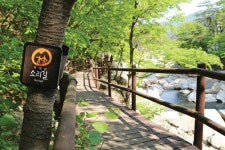 모든 길은 합천으로 통한다