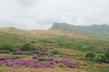 모든 길은 합천으로 통한다