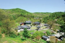 세종시는 지금…살 붙이고 문화 옷 입는 중!