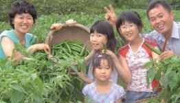 휴가·농촌체험을 동시에… 전남농협 팜스테이 마을 인기