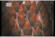 딸기찹쌀떡의 사연..진실은 어디에..