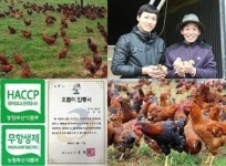 안성 조아라농장, 자연계 한방토종닭 눈길