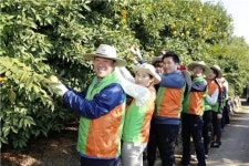 부산 이전 앞둔 주금공, 거제시 와항마을과 자매결연