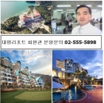 대명리조트 콘도회원권 여름맞이 개인, 법인 다양한 혜택